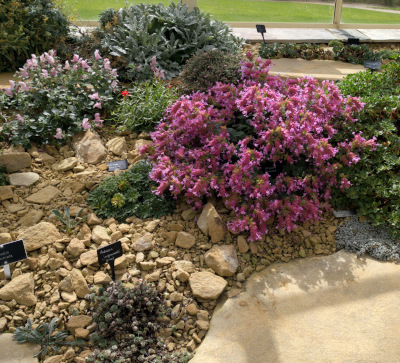 Commercial Estate Turf Management
